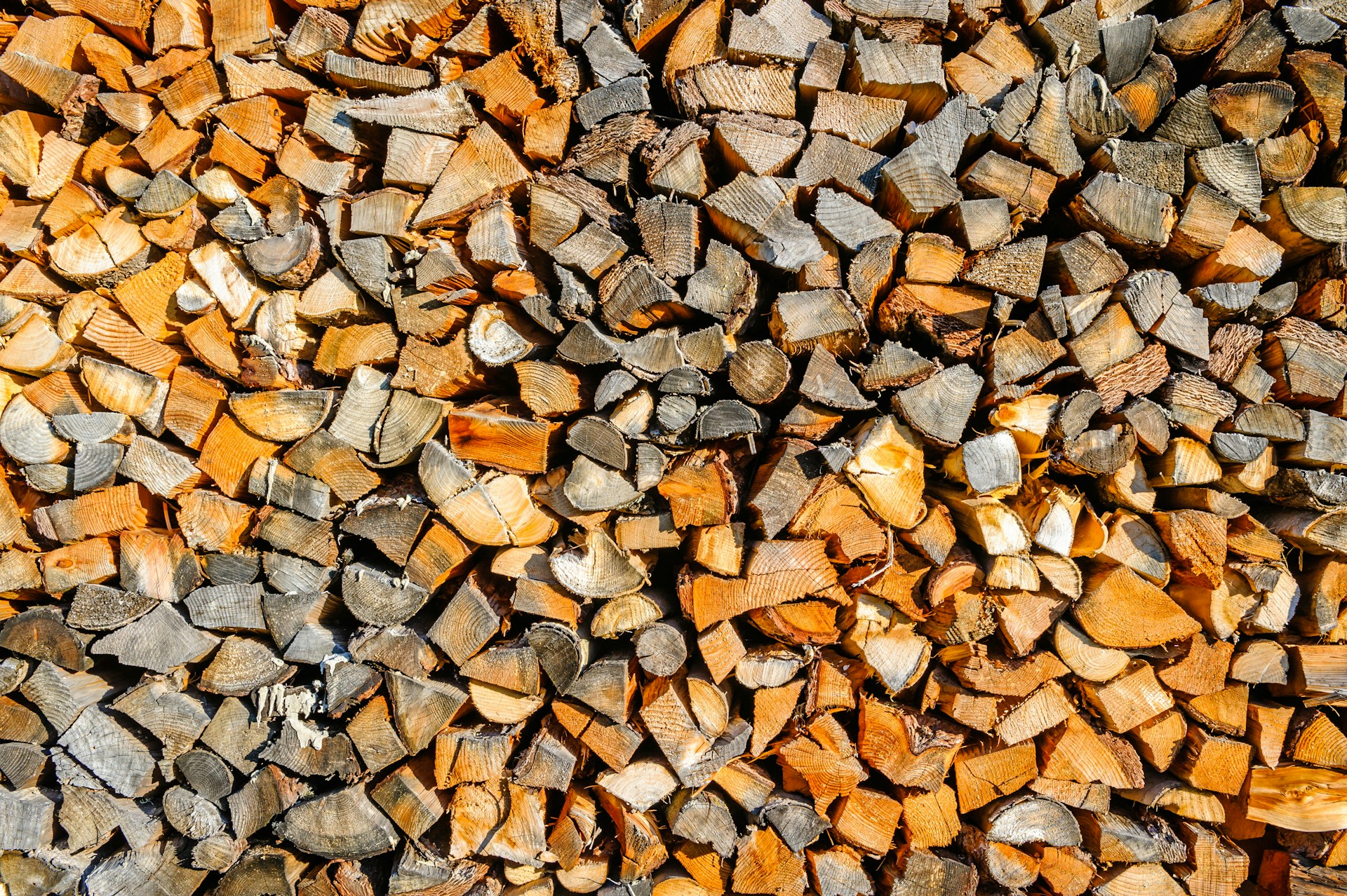 Enviva Inc. Expands its Role in Renewable Energy Through Biomass Production